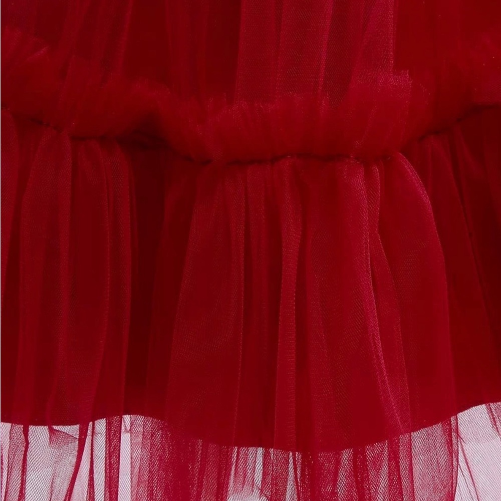 Burgundy Princess Tulle Dress | Special Occasion - Picture 3 of 4